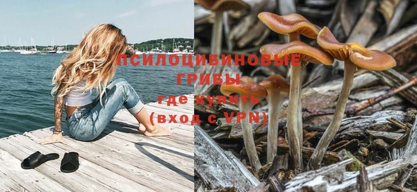 ешки Верхний Тагил