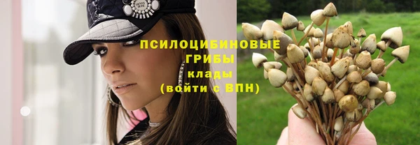 ешки Верхний Тагил