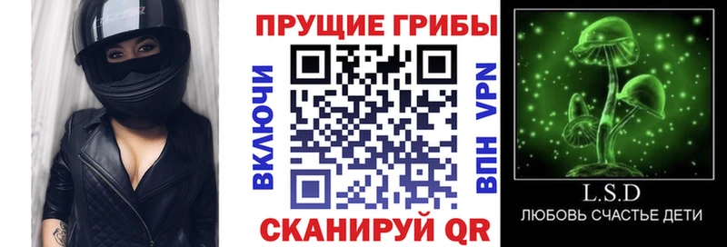 MEGA как войти  Боровичи  Галлюциногенные грибы Psilocybine cubensis 